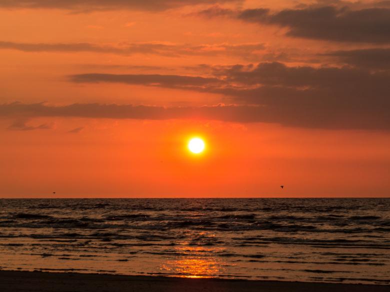 Free stock image of Amber coast sunset - Baltic sea created by Janis Urtans