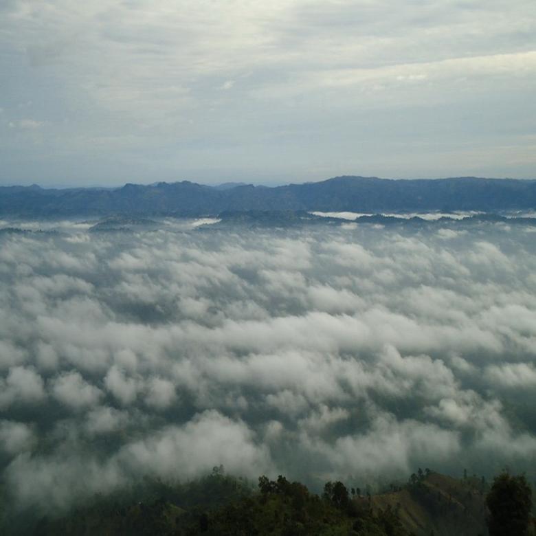 Free stock image of Clouds over forest created by Noman Hossain