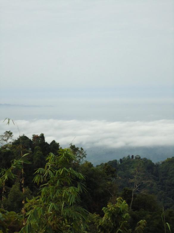 Free stock image of Nature created by Noman Hossain