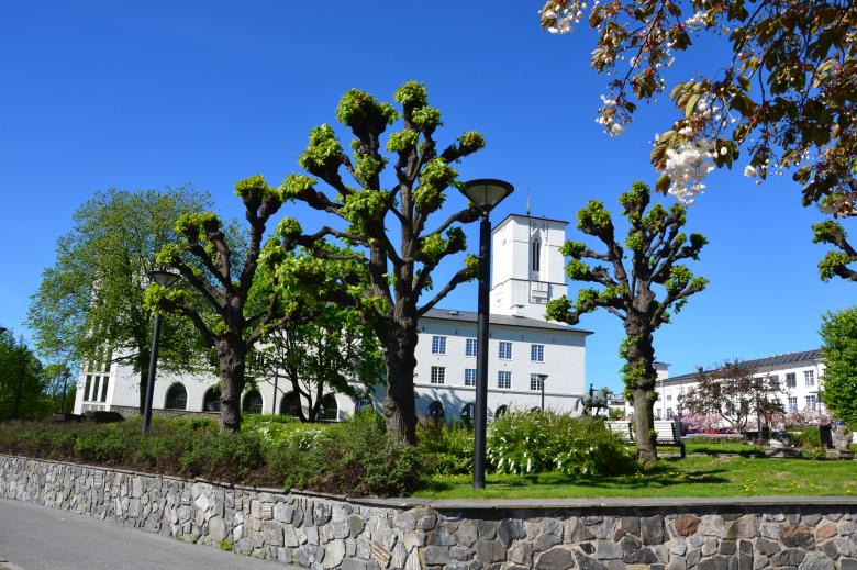 Free stock image of Linden trees in Oslo created by Tomas Adomaitis