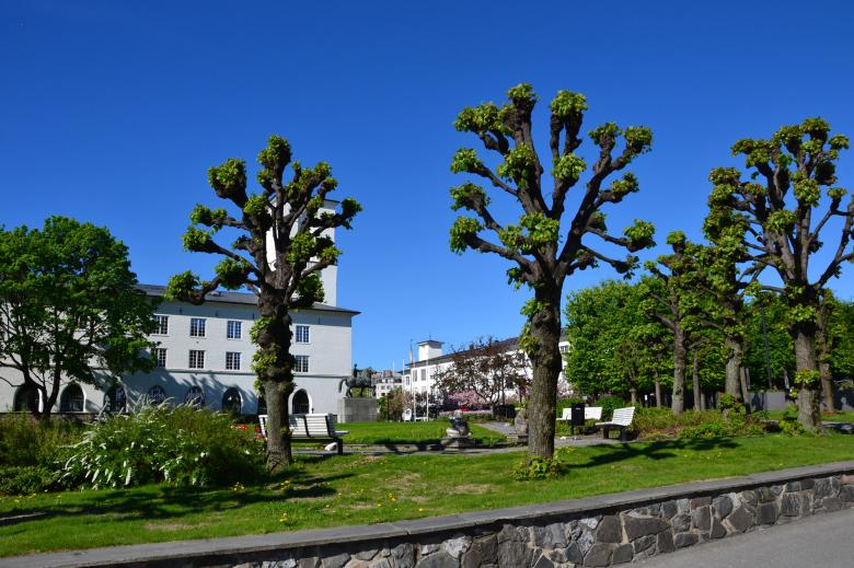 Free stock image of Linden trees in Sandvika created by Tomas Adomaitis