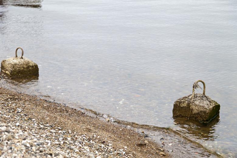 Free stock image of River Bank created by Andrei Seleznev