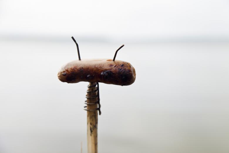 Free stock image of Cooked Sausage created by Andrei Seleznev