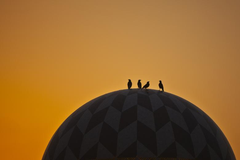 Free stock image of Birds on dome created by nasir rauf