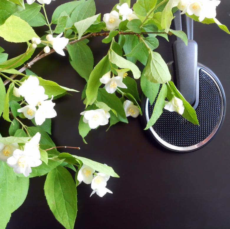 Free stock image of flowers &amp; headphones created by 2happy