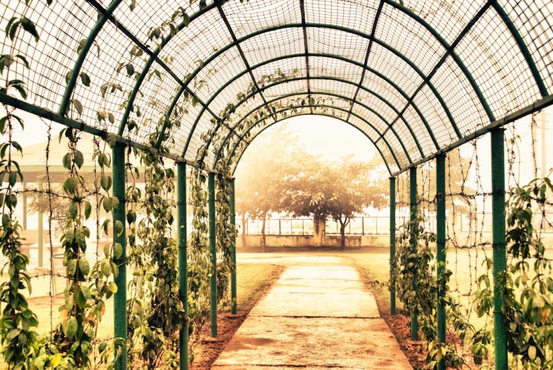 Free stock image of The Entrance created by infectedgallery