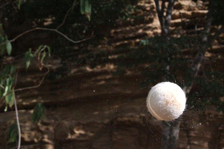 Free stock image of Water in the Tennis Ball created by Mohummad Abdullah