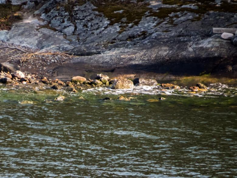 Free stock image of Stockholm archipelago - Islands created by Janis Urtans