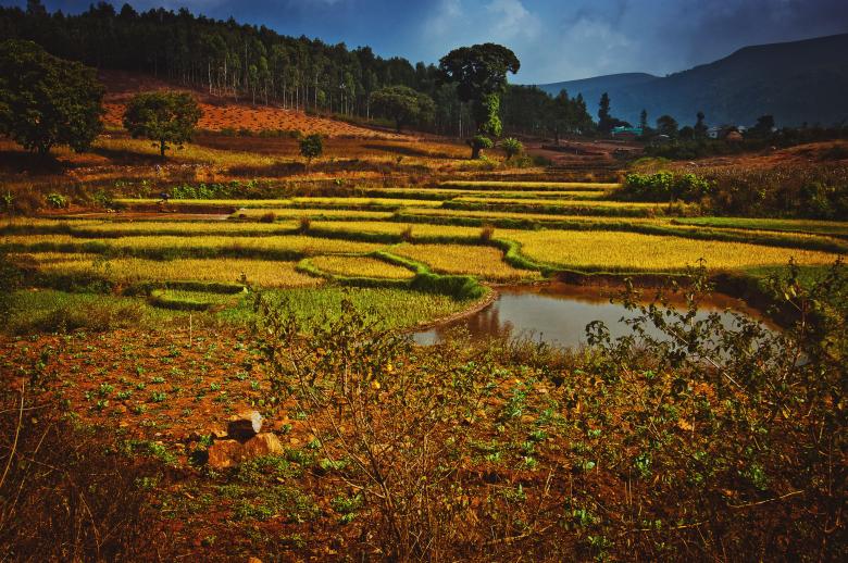 Free stock image of In the Field created by Anna Alferova
