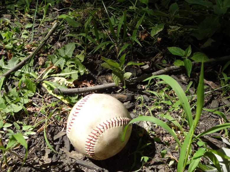 Free stock image of Baseball created by Erin Childs