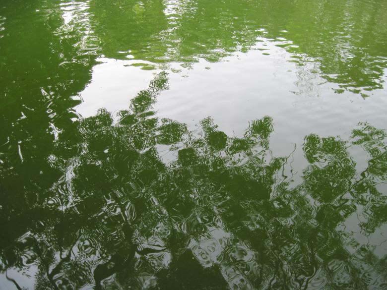 Free stock image of Water surface created by Boris Kyurkchiev