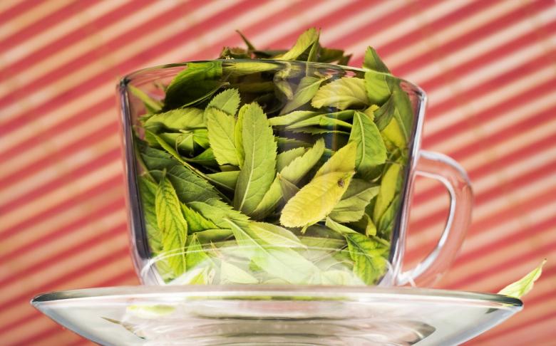 Free stock image of cup with leaves created by 2happy