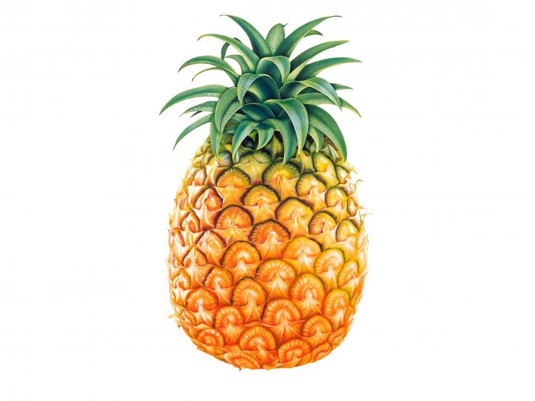 Free stock image of Pineapple created by Mouzzam