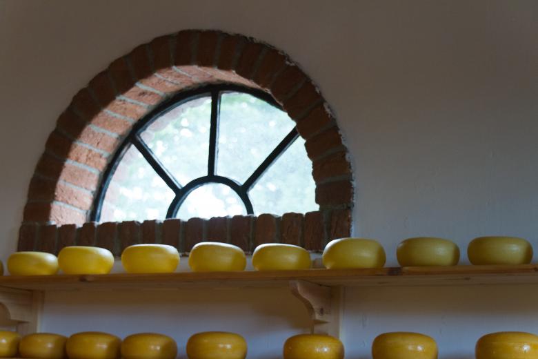 Free stock image of Cheese created by Geoffrey Whiteway
