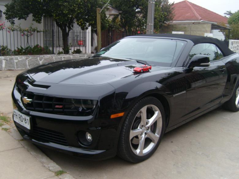 Free stock image of Ferrari and Camaro created by natalia  huerta arias
