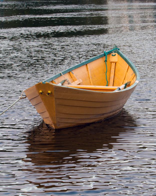 Free stock image of Dory created by Geoffrey Whiteway