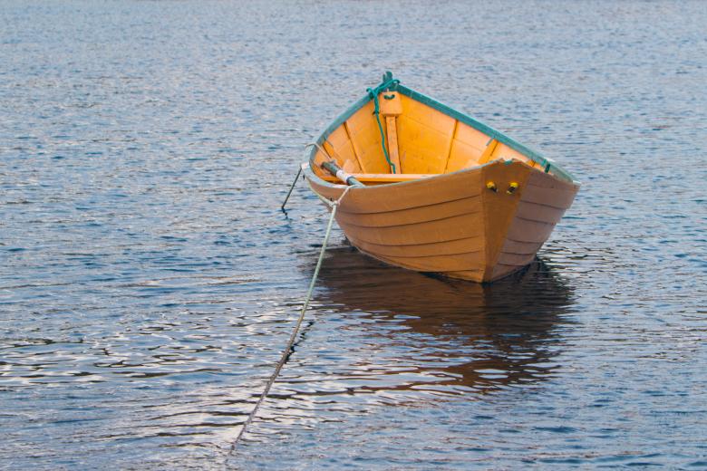 Free stock image of Dory created by Geoffrey Whiteway
