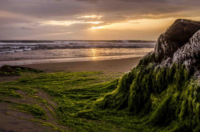 Free stock image of Sea scape  in Kovalam beach created by DEEPU DAS