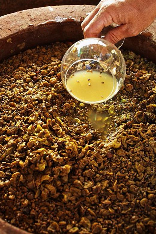 Free stock image of Vine mash created by John
