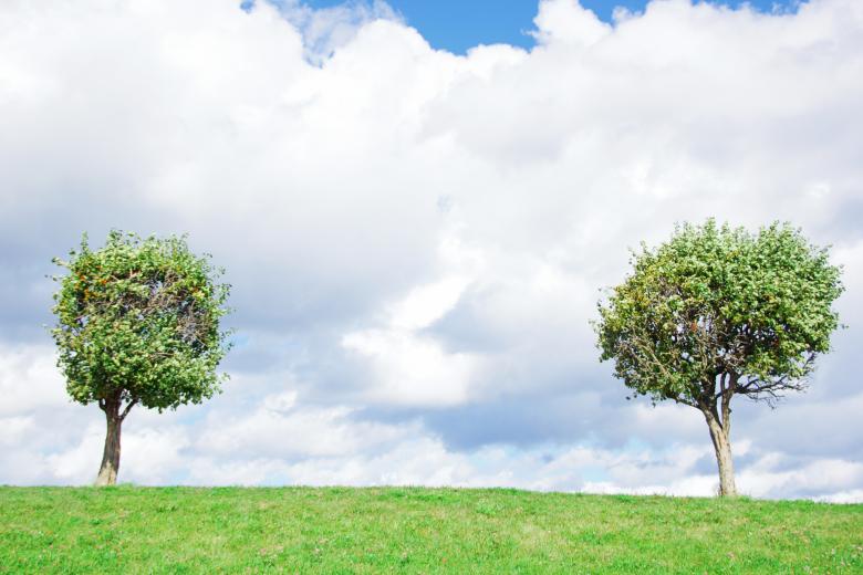 Free stock image of Trees created by 2happy