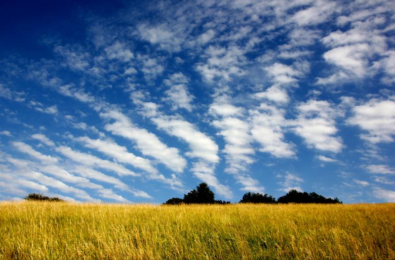 Free stock image of Rippled sky created by paul clifton