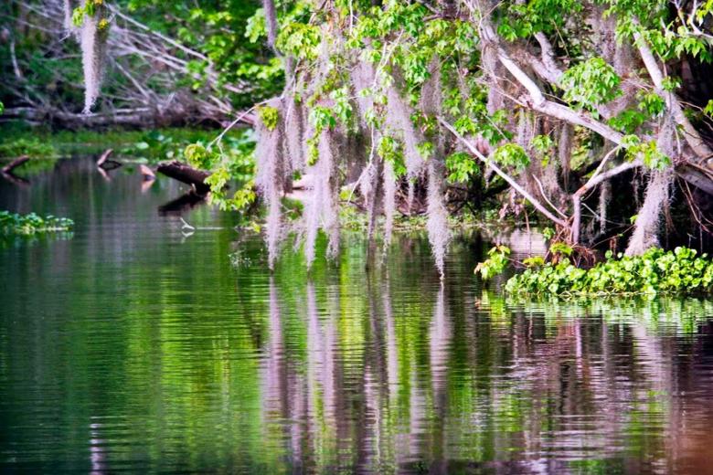 Free stock image of Nature Wallpaper created by Julia Robert