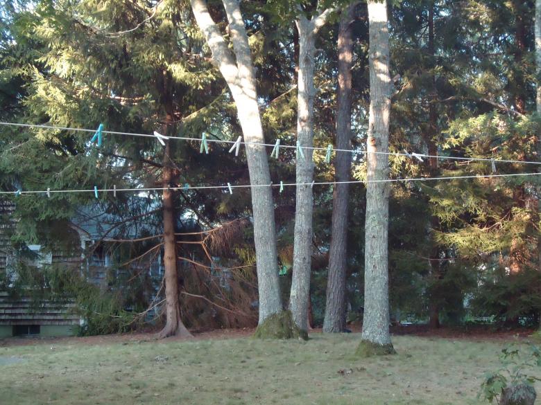 Free stock image of Clothes line created by Katharine Sparrow