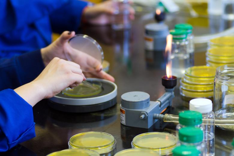 Free stock image of Food safety created by Geoffrey Whiteway