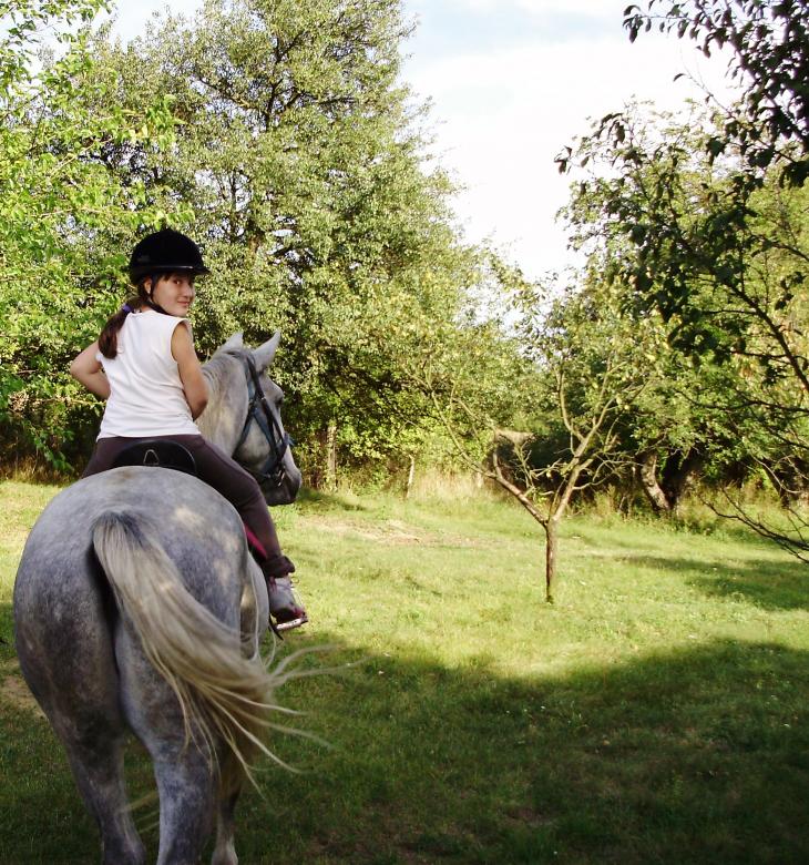 Free stock image of Ride away created by Christina Curtis