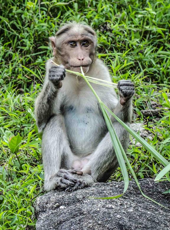 Free stock image of What was he thinking? created by DEEPU DAS