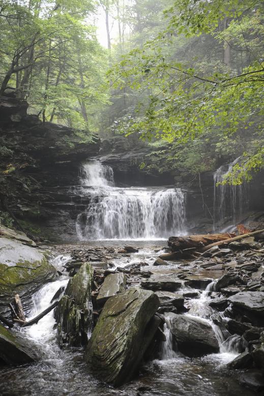 Free stock image of Waterfalls Ricketts Glen State Park created by Harry Lee