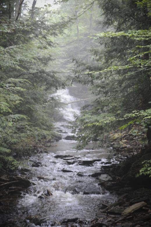 Free stock image of Waterfalls Ricketts Glen State Park created by Harry Lee