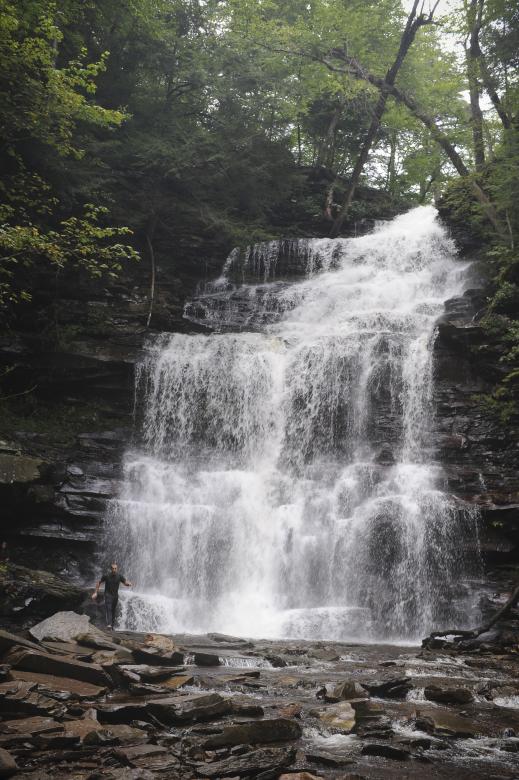 Free stock image of Waterfalls Ricketts Glen State Park created by Harry Lee