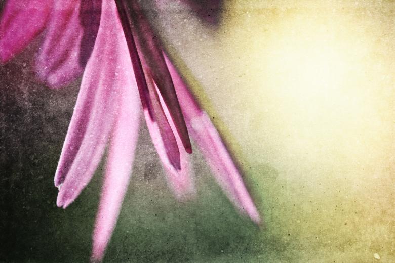 Free stock image of Summer Grunge created by Free Texture Friday