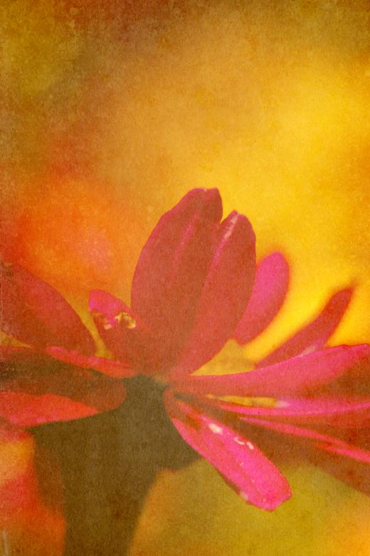 Free stock image of Summer Grunge created by Free Texture Friday