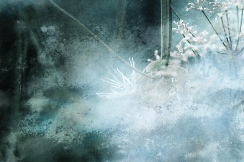 Free stock image of Summer Grunge created by Free Texture Friday