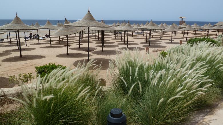 Free stock image of Seaside in Egypt created by Miss Evita