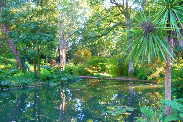 Free stock image of The Green Paradise created by Miss Evita