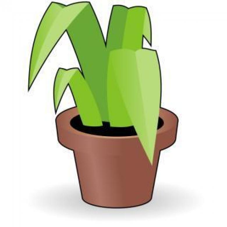 Free stock image of Flower in a pot created by Ilya N Sedykh