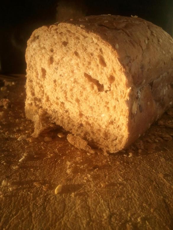 Free stock image of Grain bread created by Matan Reichman