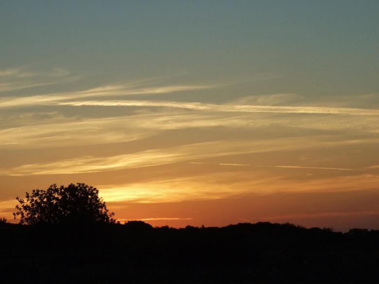 Free stock image of Beautiful sunset created by Matan Reichman