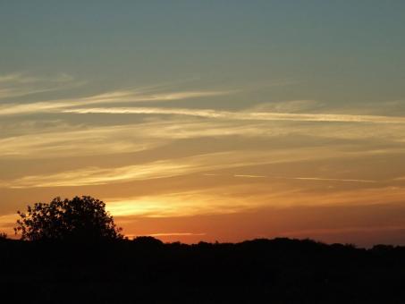 Beautiful sunset - Free Stock Photo