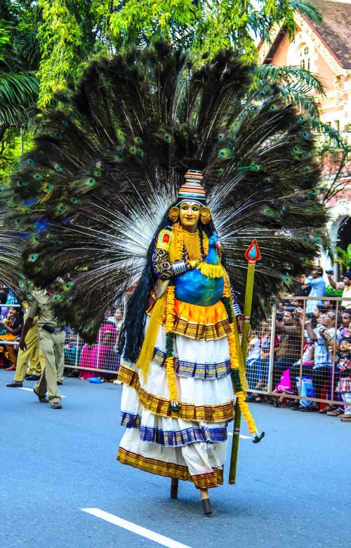 Free stock image of peacock dressing  created by DEEPU DAS