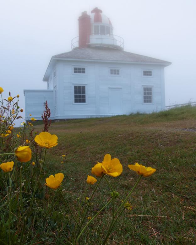 Free stock image of Lighthouse created by Geoffrey Whiteway