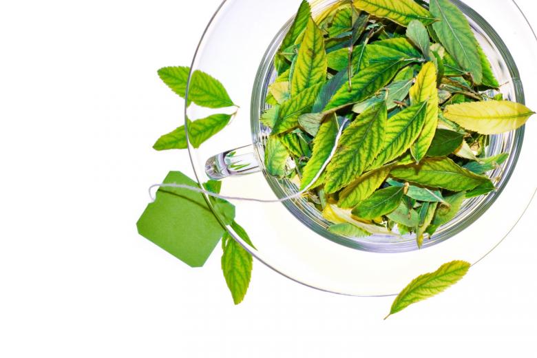 Free stock image of Cup with leaves created by 2happy