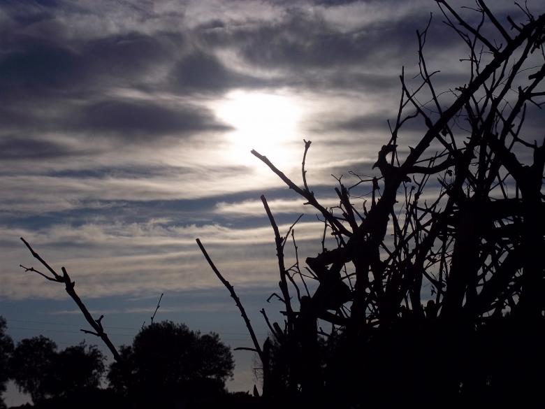 Free stock image of Sun through the clouds created by francesco scanagatta