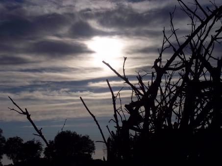 Sun through the clouds