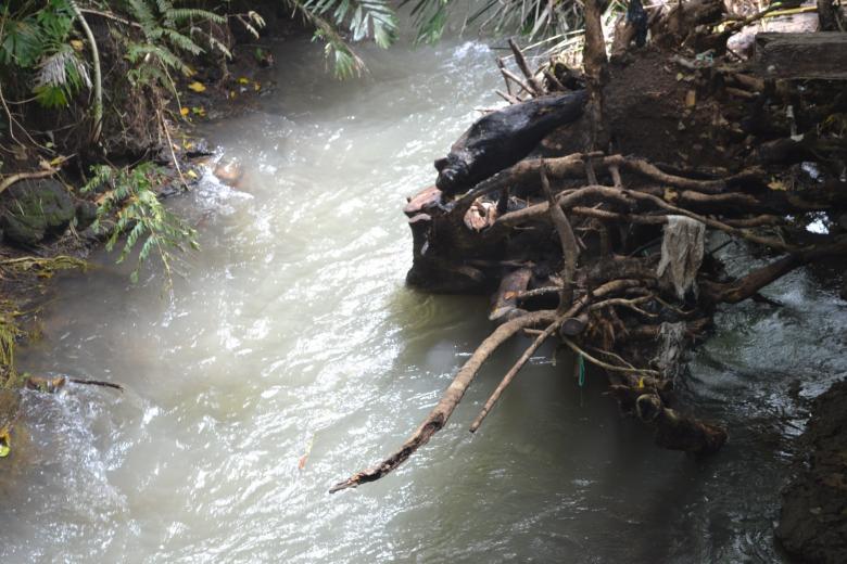 Free stock image of Stream River created by Ryan Jhoe