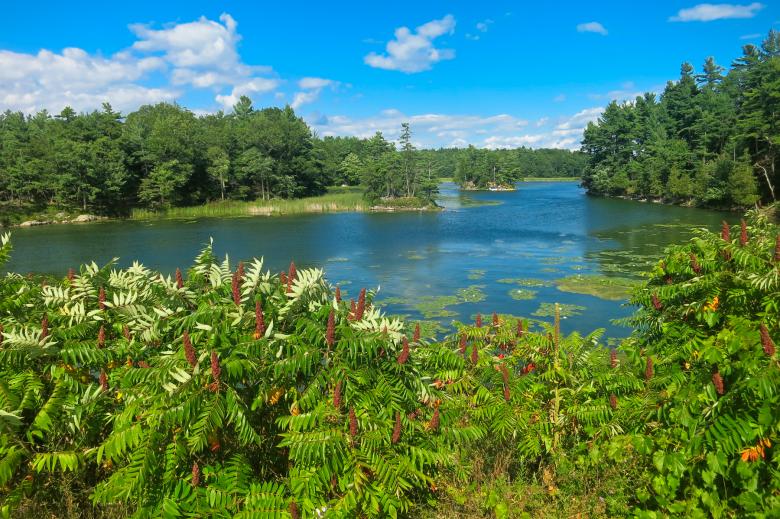Free stock image of Thousand Islands Scenery created by Nicolas Raymond
