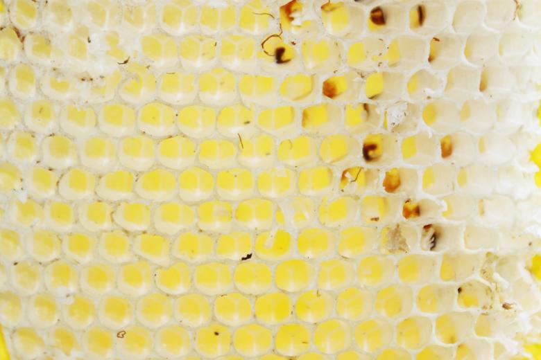 Free stock image of Beehive texture created by Val Lawless